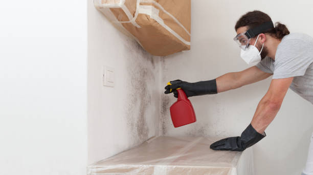 Professional Attic Mold Remediation technician working in Cordova, NC
